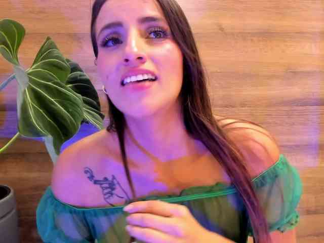 Reeyasimos webcam