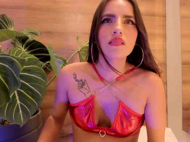 Reeyasimos webcam