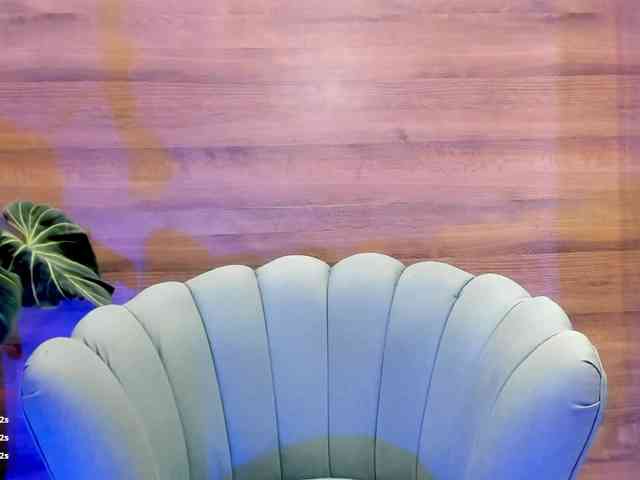 Reeyasimos webcam
