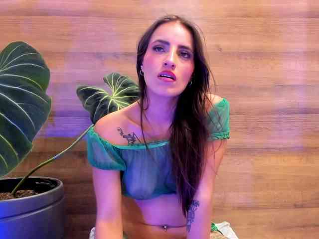 Reeyasimos webcam