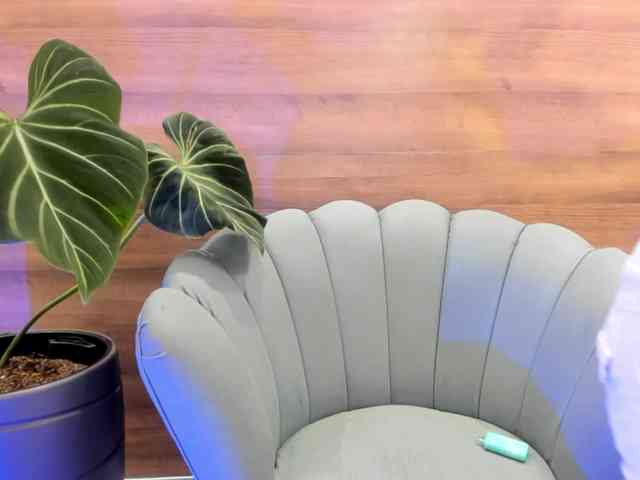 Reeyasimos webcam