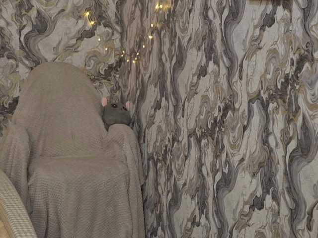Avetta live cam on BongaCams