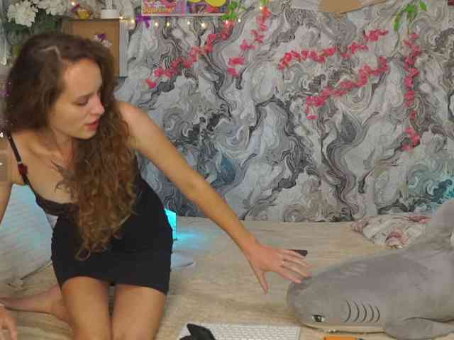 Avetta webcam