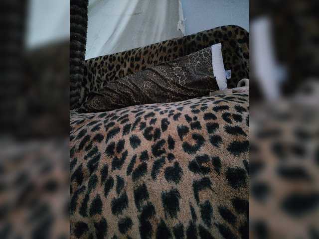 DaNaPaaaNTerr