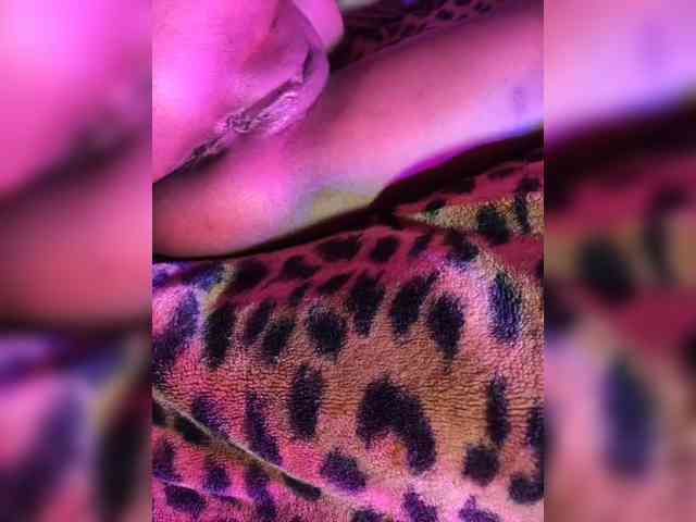 DaNaPaaaNTerr webcam