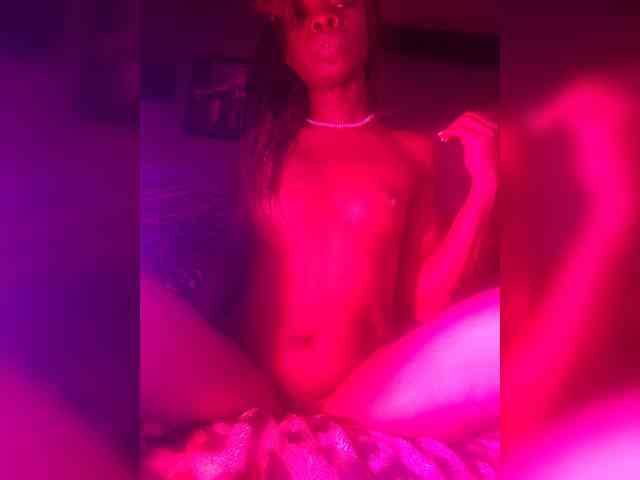 DaNaPaaaNTerr webcam