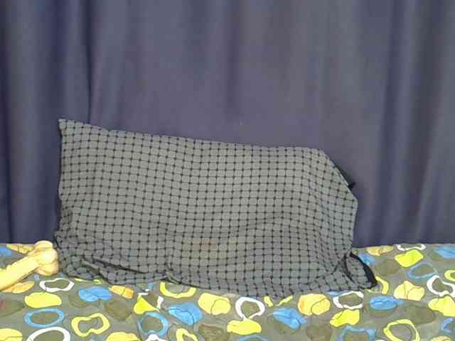 Precious-22 webcam