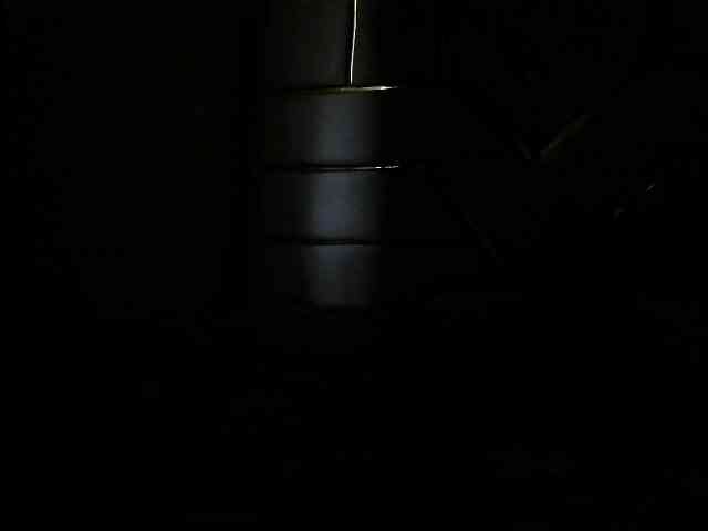 Pumkin2