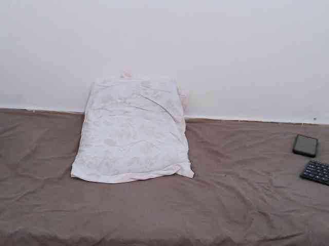 Pumkin2 webcam