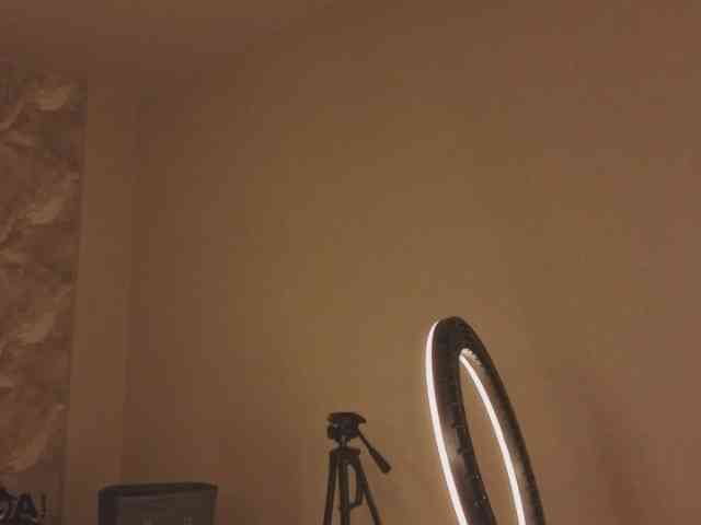 Margo-Kelly webcam