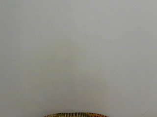Arriana Porn Show