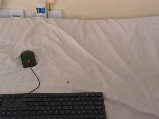 Arriana live cam on BongaCams