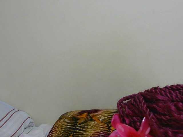 Arriana live cam on BongaCams
