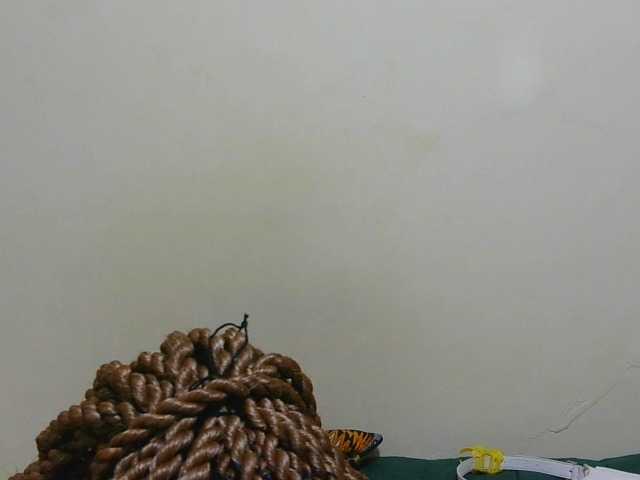 Arriana live cam on BongaCams