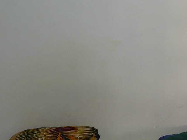 Arriana live webcam show