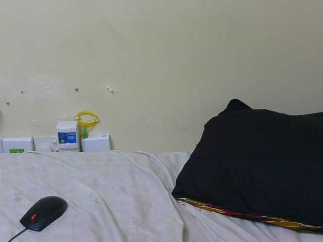 Arriana live cam on BongaCams