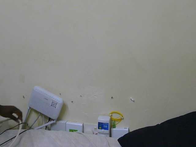 Arriana live cam on BongaCams
