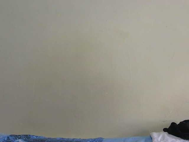 Arriana live cam on BongaCams