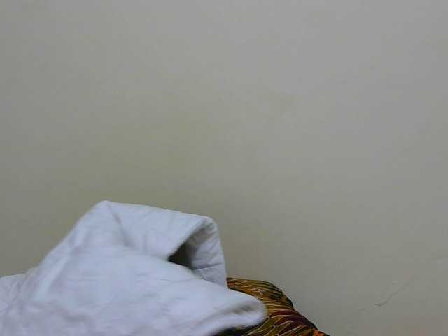 Arriana live cam on BongaCams
