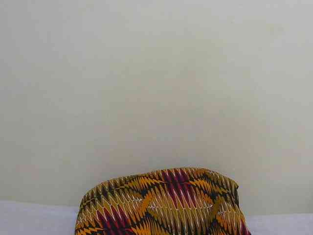 Arriana webcam