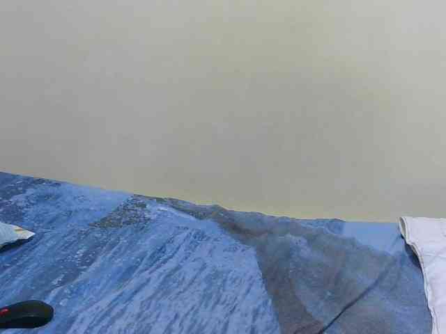 Arriana webcam