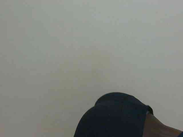 Arriana webcam