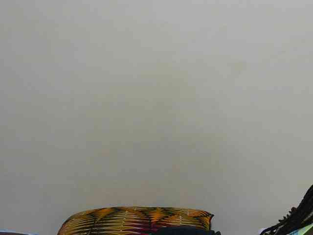 Arriana webcam