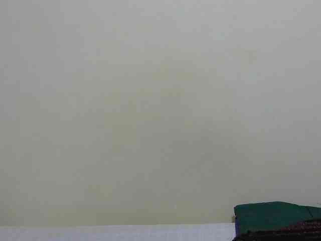 Arriana webcam