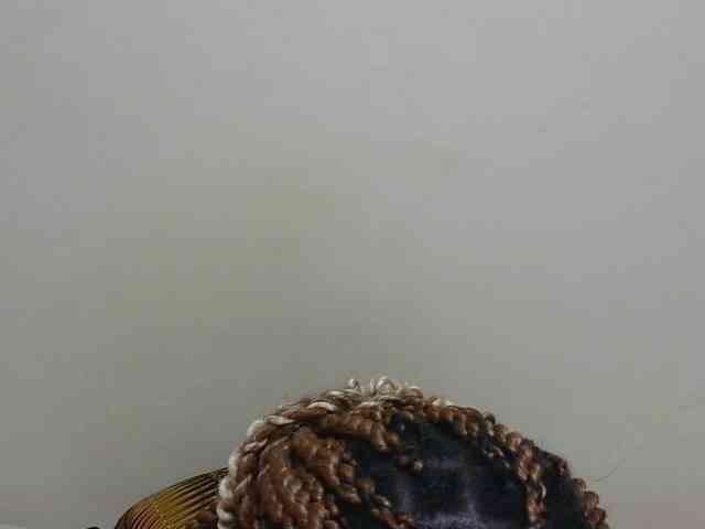 Arriana webcam