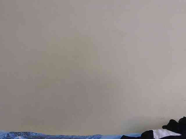 Arriana webcam