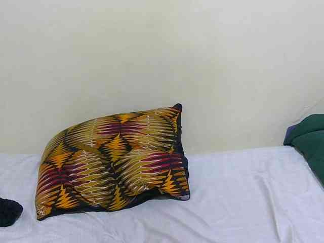 Arriana webcam