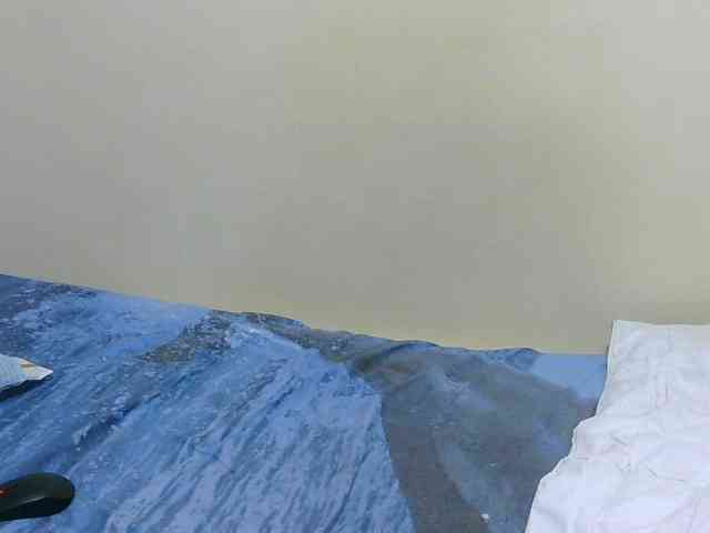 Arriana webcam