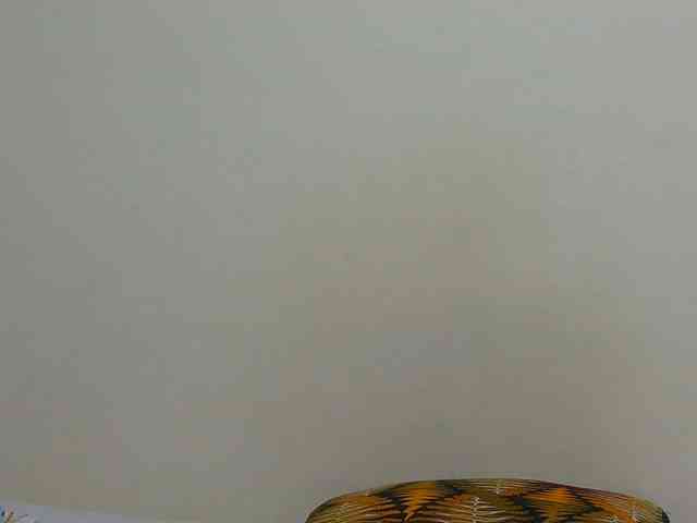 Arriana webcam