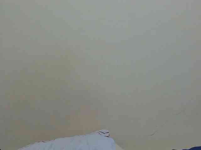 Arriana webcam
