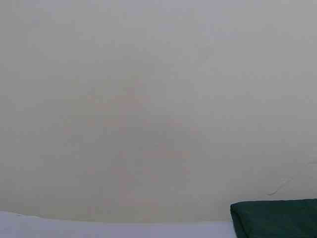 Arriana webcam