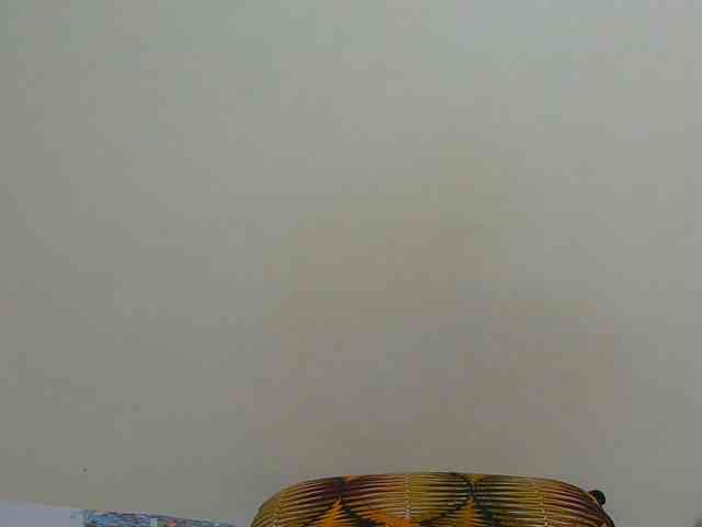 Arriana webcam