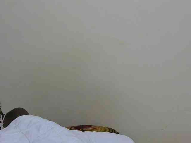 Arriana webcam