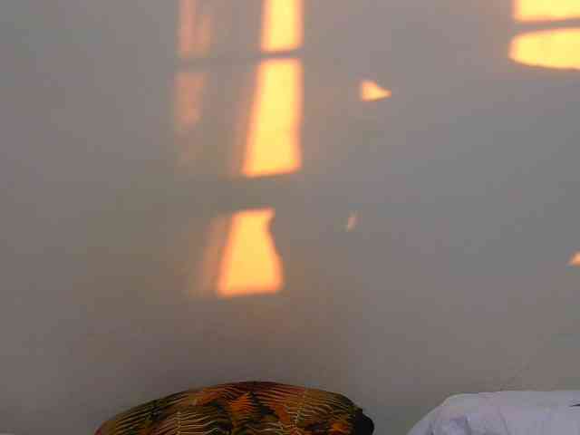 Arriana webcam