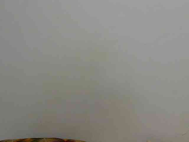 Arriana webcam