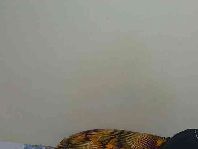 Arriana webcam