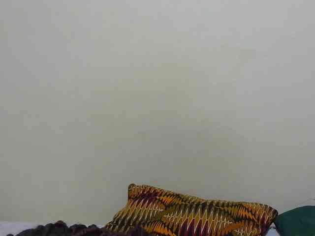Arriana webcam