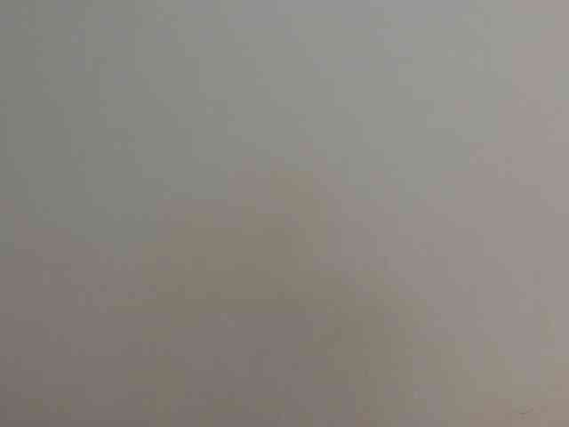 Arriana webcam