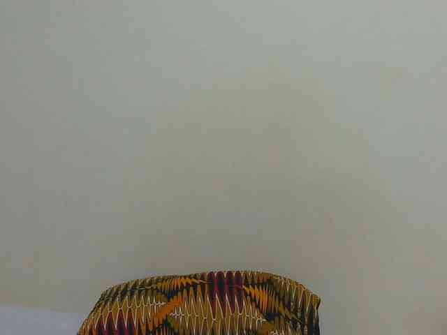 Arriana webcam
