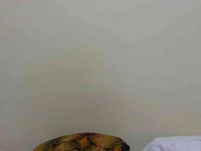 Arriana webcam
