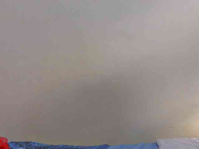 Arriana webcam