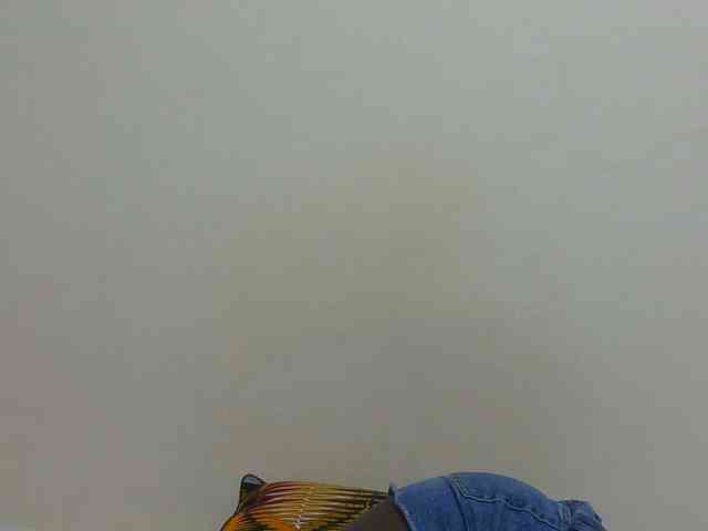 Arriana webcam