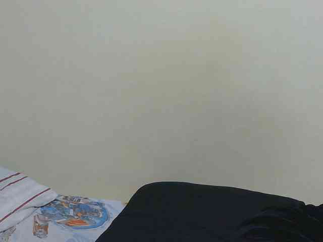 Arriana webcam
