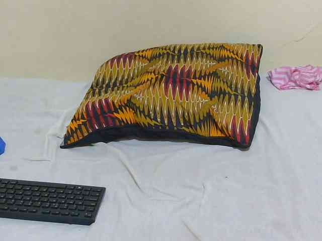 Arriana webcam