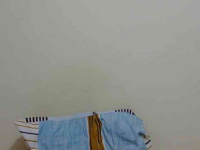 Arriana webcam