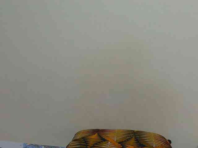 Arriana webcam